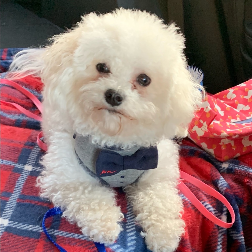 Meet your Posher, Danielle